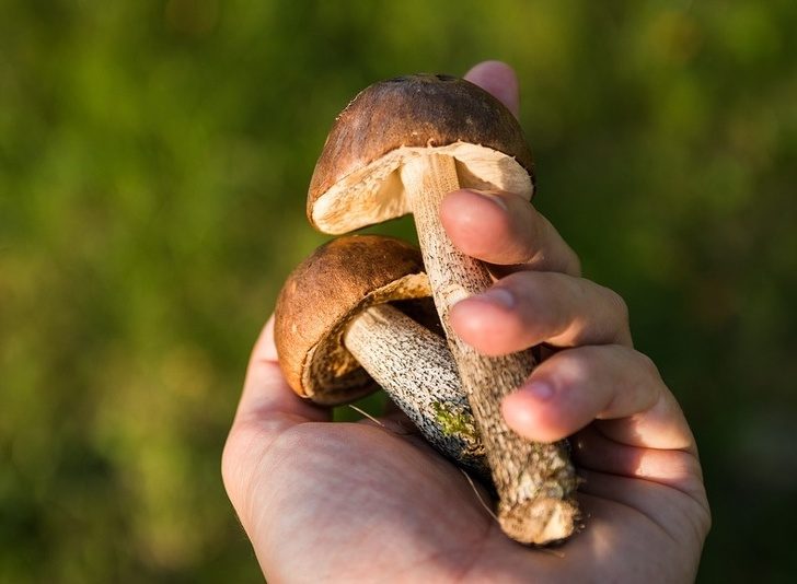 Осторожно! Аромат каждой из этих 20 фотографий вызывает очень сильную ностальгию Осторожно! Аромат каждой из этих 20 фотографий вызывает очень сильную ностальгию жизненное