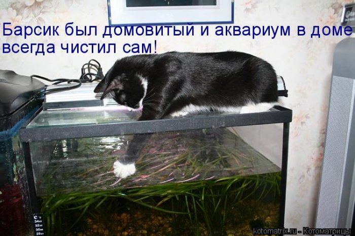 Мысли вслух :)