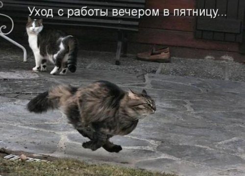 Настоящая атмосфера позитива Настоящая атмосфера позитива