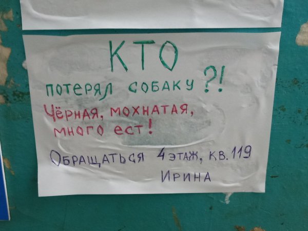 Объявление в подъезде