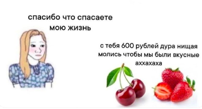 Отдых — это когда устаёшь в красивом новом месте 