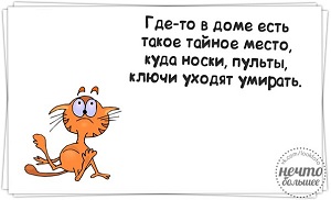 СТАТУС ДЕВУШКИ В СОЦ-СЕТИ-«На день раждения муж мне падарил славарь с какимта видима намеком но я непаняла с каким» анекдоты,веселые картинки,юмор