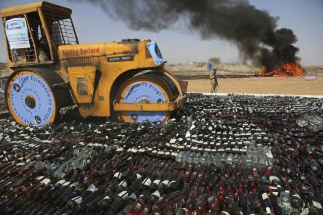 Фотоподборка понедельника  