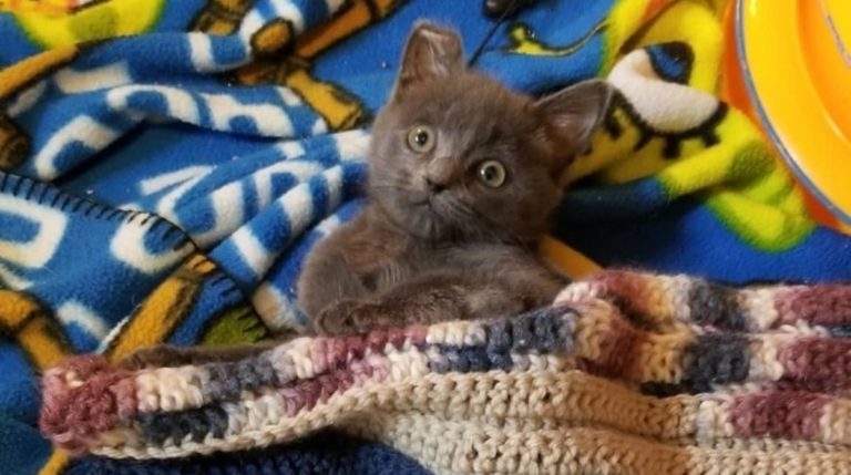 BeFunky-collage (89)