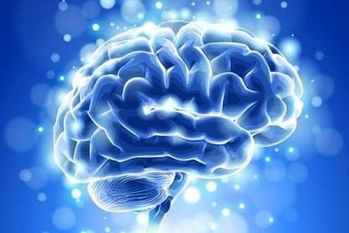 Человеческий мозг – хранилище банка данных Вселенной