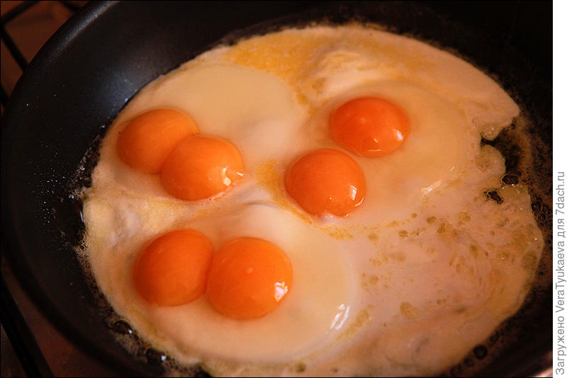А вы знаете, почему в яйце бывает два желтка? Рассказываю готовим дома,продукты,рецепты