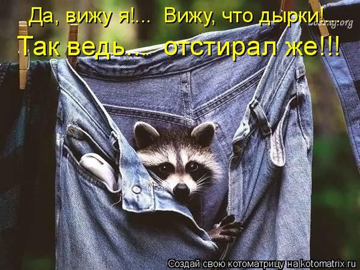Мысли вслух :)