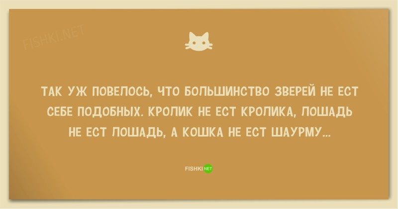 ПРО КОШЕК И КОТОВ анекдоты