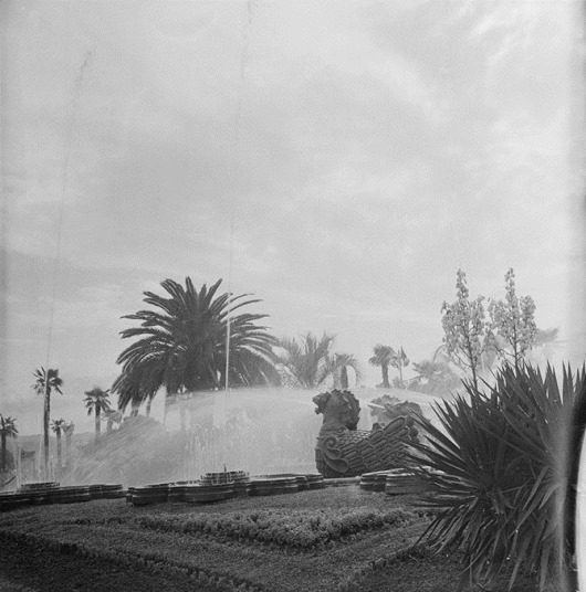 Советский Сухуми 1950-х годов Советский Сухуми 1950-х годов