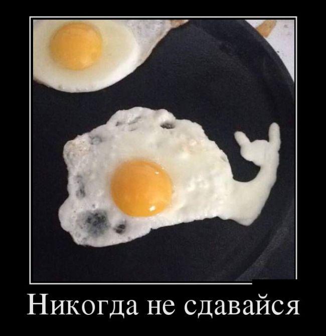 Демотиваторы на любой вкус и три выхода 