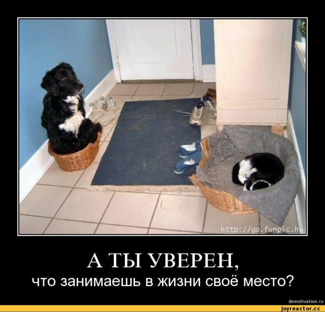 ������� ����� � ����