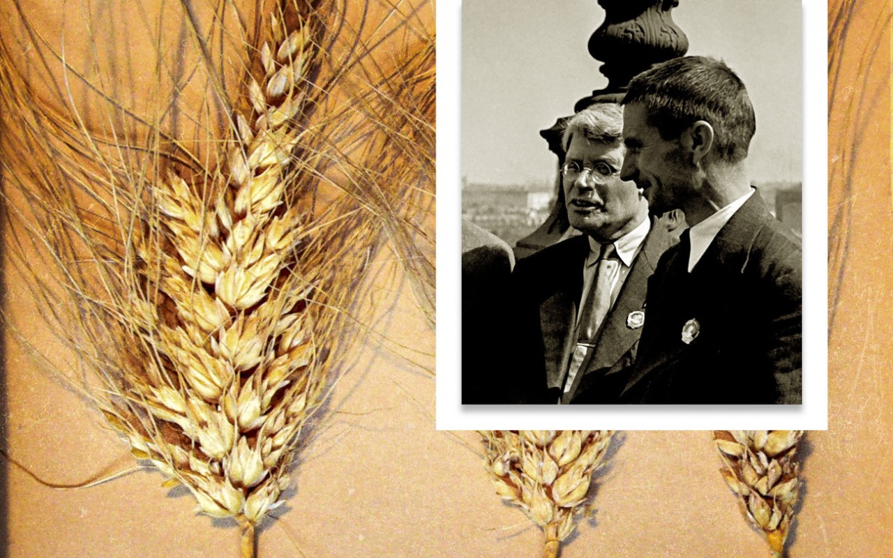 "Ветвистая пшеница". И. М. Губкин и Т. Д. Лысенко в Кремле, 1938 г. Фото: © Википедия