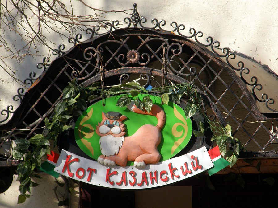 Как казанские коты Питер спасли