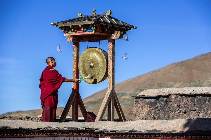 Успокой свои бактерии: как медитация тибетских монахов влияет на психику через желудок?