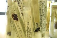 U.S. National Tick Collection