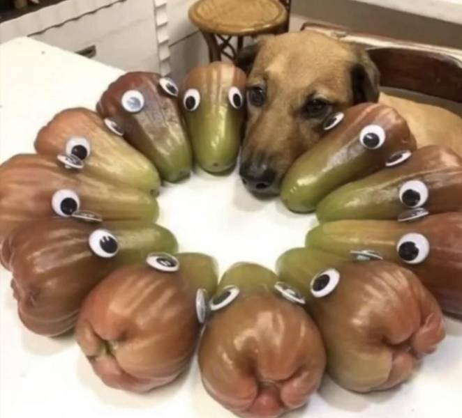 Подборка прикольных картинок  приколы,смешные картинки,юмор