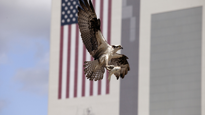 КИТАЙСКИЙ ШАР. КАК "ЯСТРЕБЫ" В ВАШИНГТОНЕ И ПЕКИНЕ ИЗБАВИЛИСЬ ОТ ПРЕДАТЕЛЕЙ