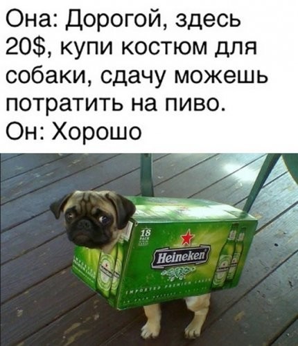 - Сволочь, подонок, кобель! – кричала женщина, нервно забрасывая вещи в пухлые чемоданы... Весёлые,прикольные и забавные фотки и картинки,А так же анекдоты и приятное общение