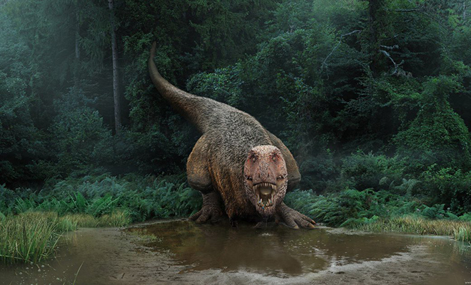 8 миллионов лет назад в джунглях Амазонии жил самый крупный хищник в истории. Длина крокодила была 20 метров хищником, метров, сравнению, доисторические, вырастали, человеком Гигантский, гигант, выглядит, Посмотрите, около, весили, длиной, представитель, динозавров Пурусзавры, высшим, региона, охотником, Главным, совпадений, нашли