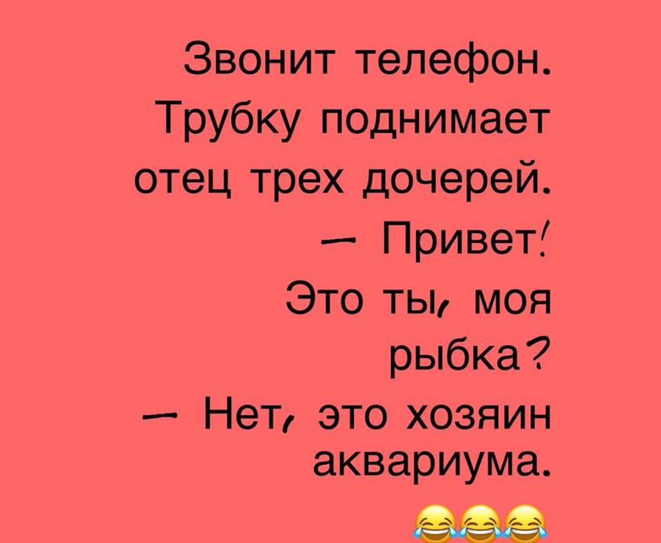 Максимум позитива: 30 анекдотов, шуточек и забавностей в картинках о семье, отношениях и жизни вообще 