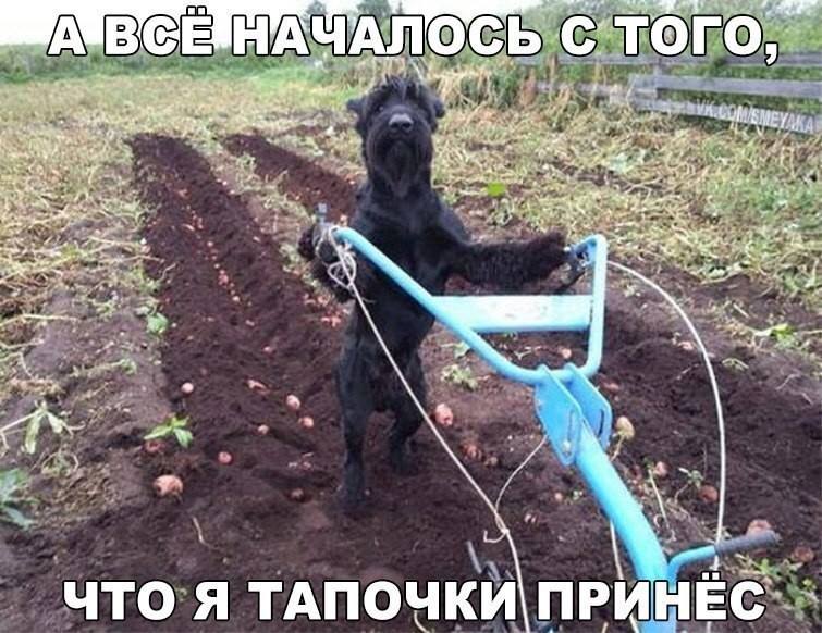  (): - ,     ...  ... ?..