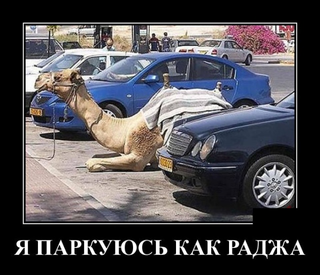 Самые новые демотиваторы Самые новые демотиваторы демотиваторы