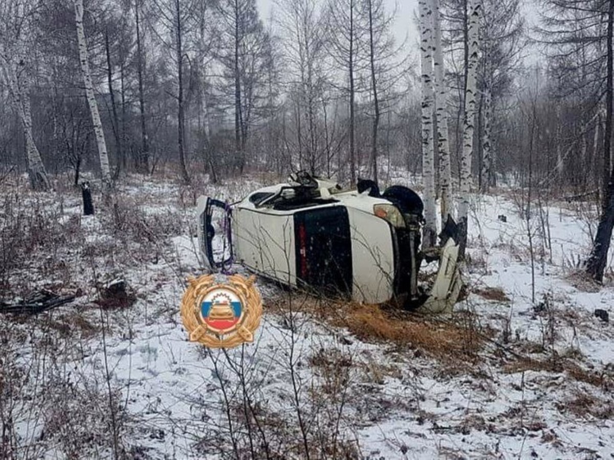 Дети и взрослые пострадали в упавшей в кювет машине в Хабаровском крае