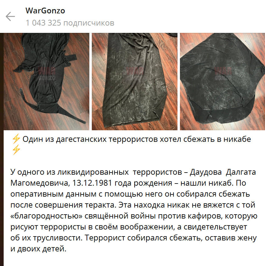    Скриншот t.me/wargonzo