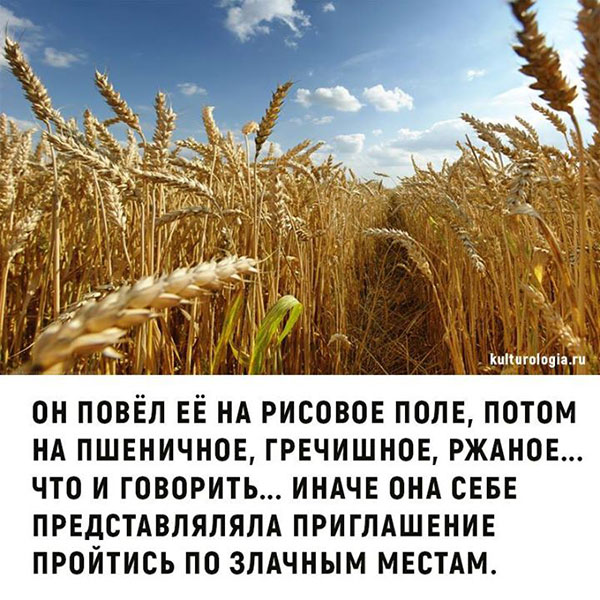 Мужик с папиросиной, грязный, небритый, подходит к телеге с навозом... Весёлые,прикольные и забавные фотки и картинки,А так же анекдоты и приятное общение