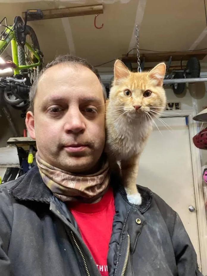 Без кота и жизнь не та