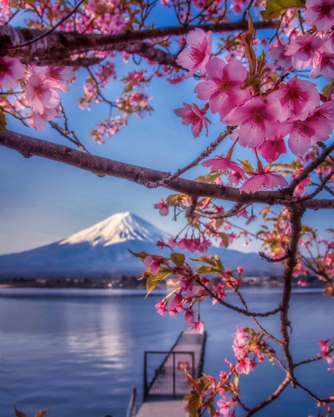 Волшебная японская природа на снимках Макико Самедзимы Макико, Самедзима, Читать, подписчиков, более, Instagram, делится, работами, Своими, ландшафты, природные, яркие, самые, запечатлеть, чтобы, Японии, фотографии, путешествует, природной, пейзажной