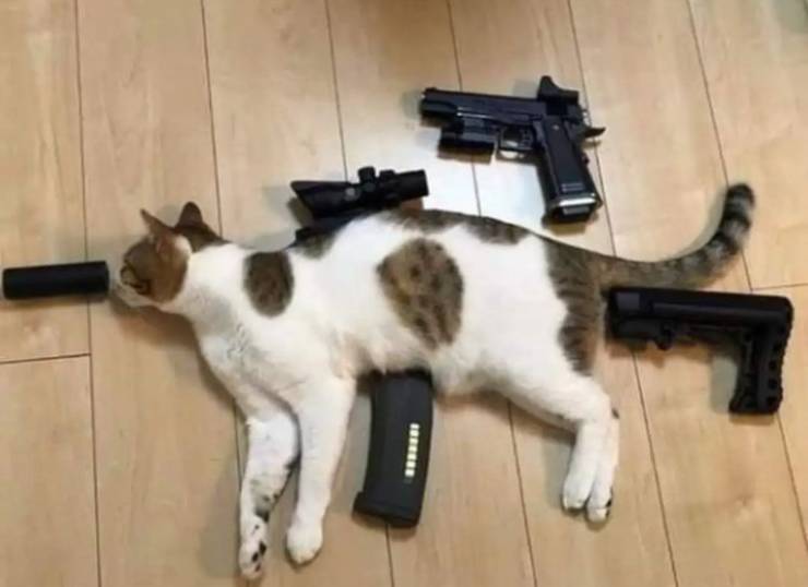 Подборка прикольных картинок  приколы,смешные картинки,юмор