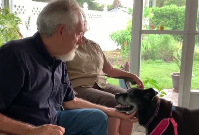 Мужчина и собака