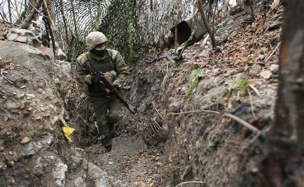 Окопная правда по ту линию фронта: Поляки стали бить по бандеровцам первыми, потому уцелели украина