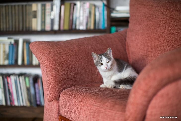 «Вложил сюда все свои сбережения». Как один человек возрождает деревню на Голубых озерах 