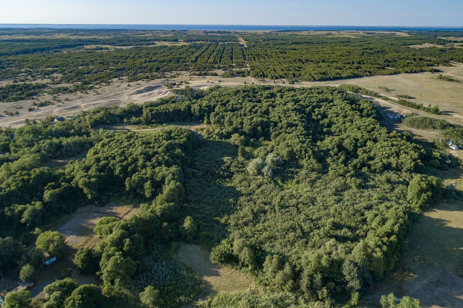 «Так не доставайся же ты никому»: ВСУ выжигают Кинбурнскую косу россия,украина