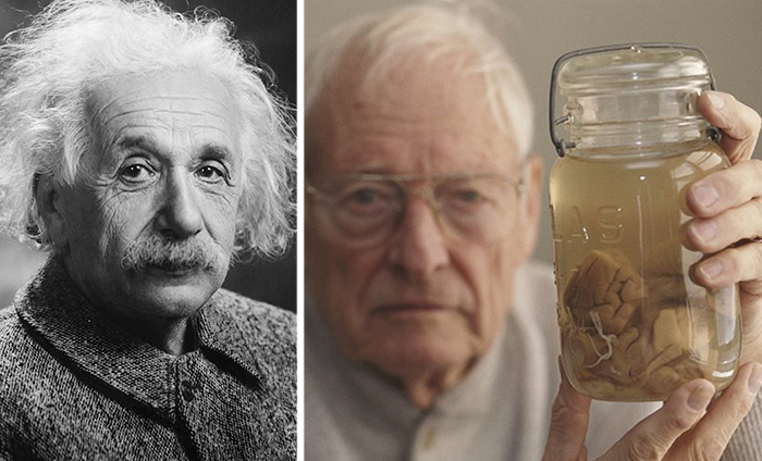 О том, как украли мозг Эйнштейна и что с ним потом происходило