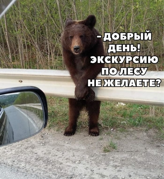 Смехотерапия дня. Кайфуем вместе!