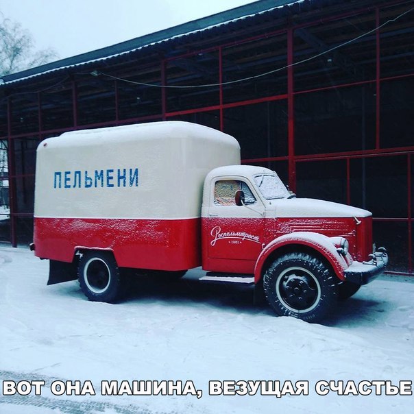 Веселые картинки с надписями про животных (11 фото)