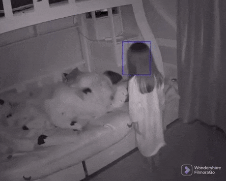 Интересные гифки 17 января 2022 года