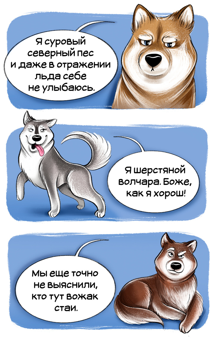 ������� ��� ��&nbsp;������� ����� ��&nbsp;������� ���� (����� 2-�)