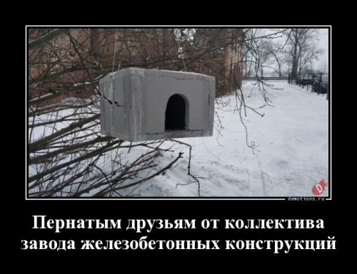 Демотиваторы-приколы для настроения Демотиваторы-приколы для настроения приколы