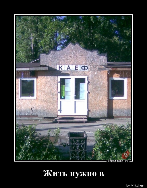 Демотиваторы на любой вкус и три выхода 