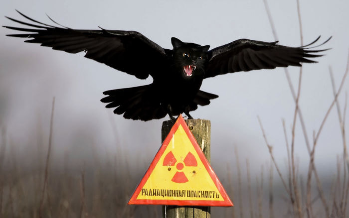 Юмор из интернета 641 Юмор из интернета 641 позитив,смех,улыбки,юмор