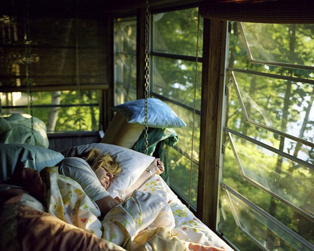 ФотоТелеграф » Каким может быть дом в лесной чаще ФотоТелеграф » Каким может быть дом в лесной чаще