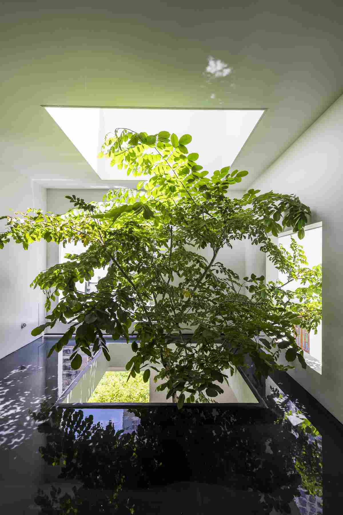 Вертикальная связь с природой в архитектуре здания