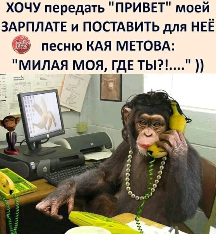 Объявление в "Вечерней Одессе": "Мадам в возрасте ищет работу"... Весёлые,прикольные и забавные фотки и картинки,А так же анекдоты и приятное общение