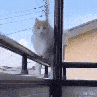 Интересные гифки 17 января 2022 года