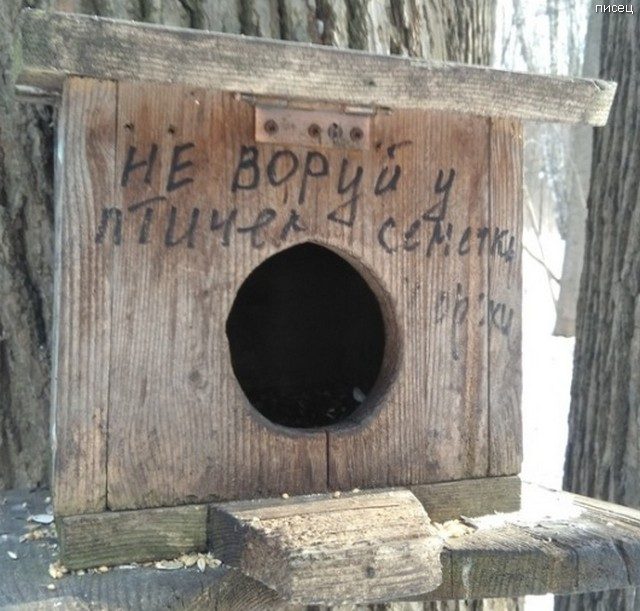 Что ни фото, то Хит! Офигенный юмор! Что ни фото, то Хит! Офигенный юмор! смешные картинки