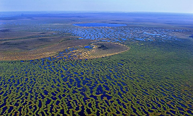 Васюганские болота. Топь размером со страну скрывает больше тайн, чем любое другое место в Сибири 